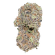 BLUEBERRY PANCAKE [TOP SHELF] THCA FLOWER (7 GRAMS)