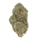 Purple Lifesaver  [EXOTIC] THCA FLOWER (7 GRAMS)