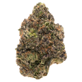 CANDY RINGZ [TOP SHELF] THCA FLOWER (7 GRAMS)