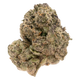 GASTRO POP [TOP SHELF] THCA FLOWER (7 GRAMS)